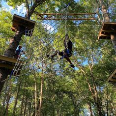 two people on ropes high up in the trees