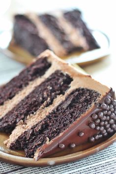 two slices of chocolate cake on a plate