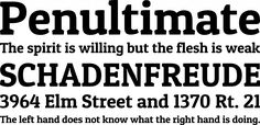 an old english typeface with the words penulimate and shadenfried