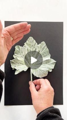 a person holding a piece of paper with a leaf on it and another hand reaching out towards the flower