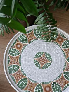 a green and white plate sitting on top of a wooden table next to a plant