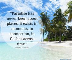 a beach with palm trees and a quote from victoria ericsson on paradise has never been about places, it exits in moments, in connection, in flashes across time