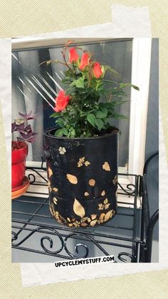 a potted plant sitting on top of a metal rack