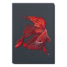 a red fish on a black background