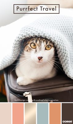 a cat sitting on top of a piece of luggage with a blanket over it's head