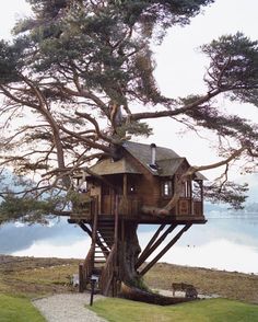 a tree house built into the side of a lake