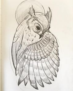 an owl is shown in this drawing