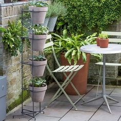 several potted plants are sitting on the outside patio table and chair, along with two chairs