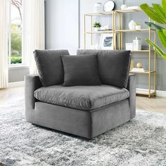 a gray couch sitting on top of a rug