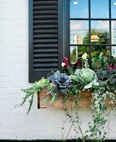 a window box filled with flowers and greenery