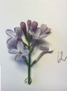 a bunch of purple flowers sitting on top of a white table next to the word love