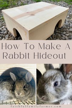 Baby rabbits In a hideout box Bunny Hideout Diy, Diy Rabbit Hidey House, Wild Rabbit Shelter, Diy Bunny Hideout, Rabbit Nesting Box Diy, Rabbit Hideout Diy, Rabbit Hidey House, Bunny Hideout, Rabbit Nesting Box