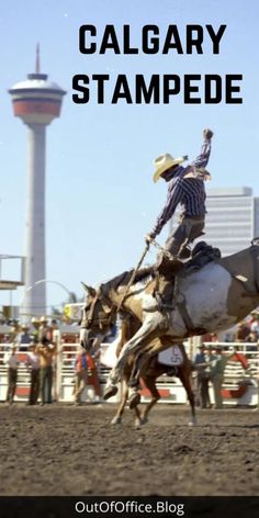 a man riding on the back of a white horse