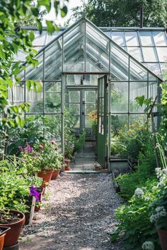 30 Greenhouse Ideas: Creative Designs for Your Home Garden Event Venue Ideas, Acreage Ideas, Greenhouse Inspiration, Modern Greenhouses, Greenhouse Design, Greenhouse Growing