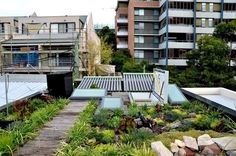 the rooftop garden is surrounded by tall buildings