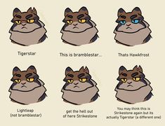 the stages of how to draw an angry cat