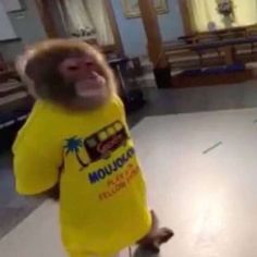 a monkey in a yellow shirt is dancing on the floor with his mouth wide open