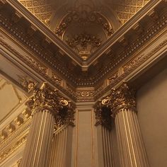 an ornate ceiling in a building with gold decorations on the walls and columns below it