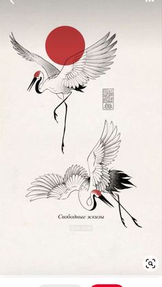 two cranes flying in the air with a red ball on their back and another bird above them