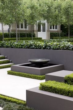 a modern garden with trees and bushes in the background