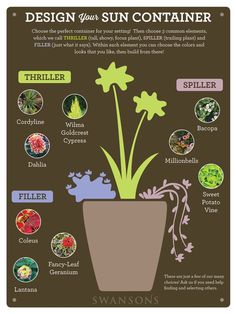 a poster with different types of plants in the bottom right hand corner, and an info sheet below