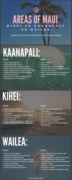 an info sheet with different types of surfboards on the water and palm trees in the background