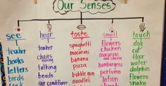 a bulletin board with different types of words and pictures on it that say our sense