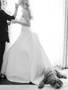 a woman in a wedding dress standing next to a man with a dog on the floor