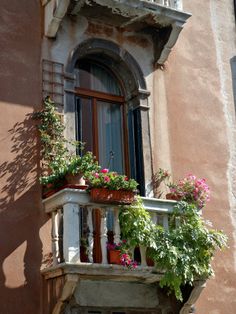 a balcony with potted plants on the balconies and flowers growing out of it