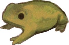 a drawing of a frog with its mouth open