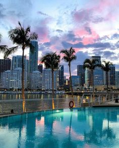 palm trees line the edge of a swimming pool in front of a cityscape