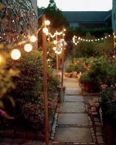 an outdoor walkway with lights and potted plants