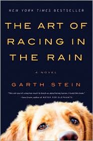 the book cover for the art of racing in the rain by gart stein