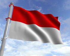 a flag flying in the wind on a cloudy day with blue sky and white clouds