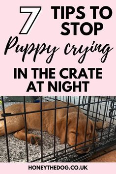 a dog laying in its cage with the text 7 tips to stop puppy crying in the crate at night