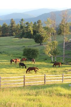 Ranch Wyoming, Guest Ranch, Horse Ranch, Country Scenes, Farms Living, Ranch Life, Horse Farms, Country Farm