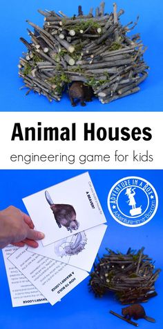 an animal house is shown with the instructions to make it look like they're playing in