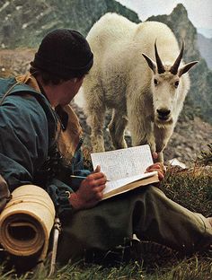 a man sitting on the ground reading a book next to a mountain goat