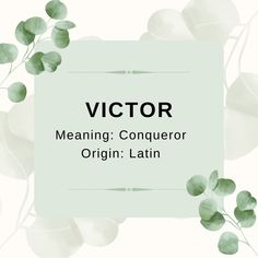 the words meaning champion origin irish on a white background with green leaves and branches