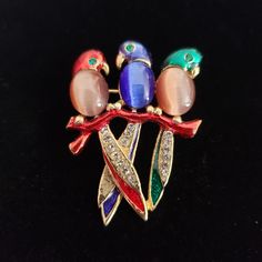 Sweet Brooch  No Returns Collectible Multicolor Costume Jewelry Brooches, Birds Parrots, Hendersonville Nc, Jelly Belly, Vintage Brooch, Vintage Brooches, Costume Jewelry, Brooch Pin, Brooches