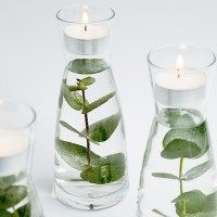 three glass vases with plants in them on a white surface, one is filled with water and the other has a lit candle