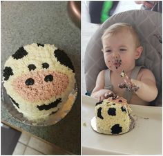 a baby in a highchair eating cake next to an image of a cow