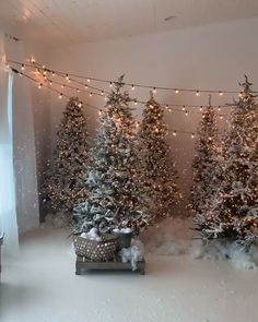 christmas trees are decorated with lights and snow