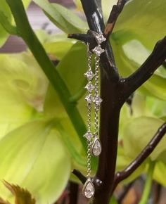 This Beautiful Lariat Drop Diamond Earring has 3.16Gr 14K White Gold with 1.90Ct Princess Cut and Pear Shape Diamonds. Diamond Earring, Pear Shaped Diamond, Drop Earring, Diamond Drop Earrings, Pear Shape, Princess Cut, Pear Shaped, Diamond Earrings, Pear