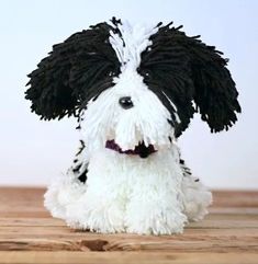 a black and white dog sitting on top of a wooden table