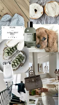 a collage of photos with different items in the middle and one dog on the other side