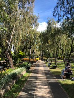 a woman sitting on a park bench next to a tree lined path with lots of trees