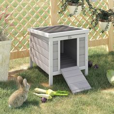 a rabbit sitting in the grass next to a dog house