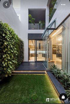 an outdoor area with grass and plants in front of a house