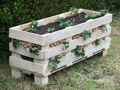 a wooden box filled with plants in the grass